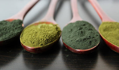 Inviticus Chlorella